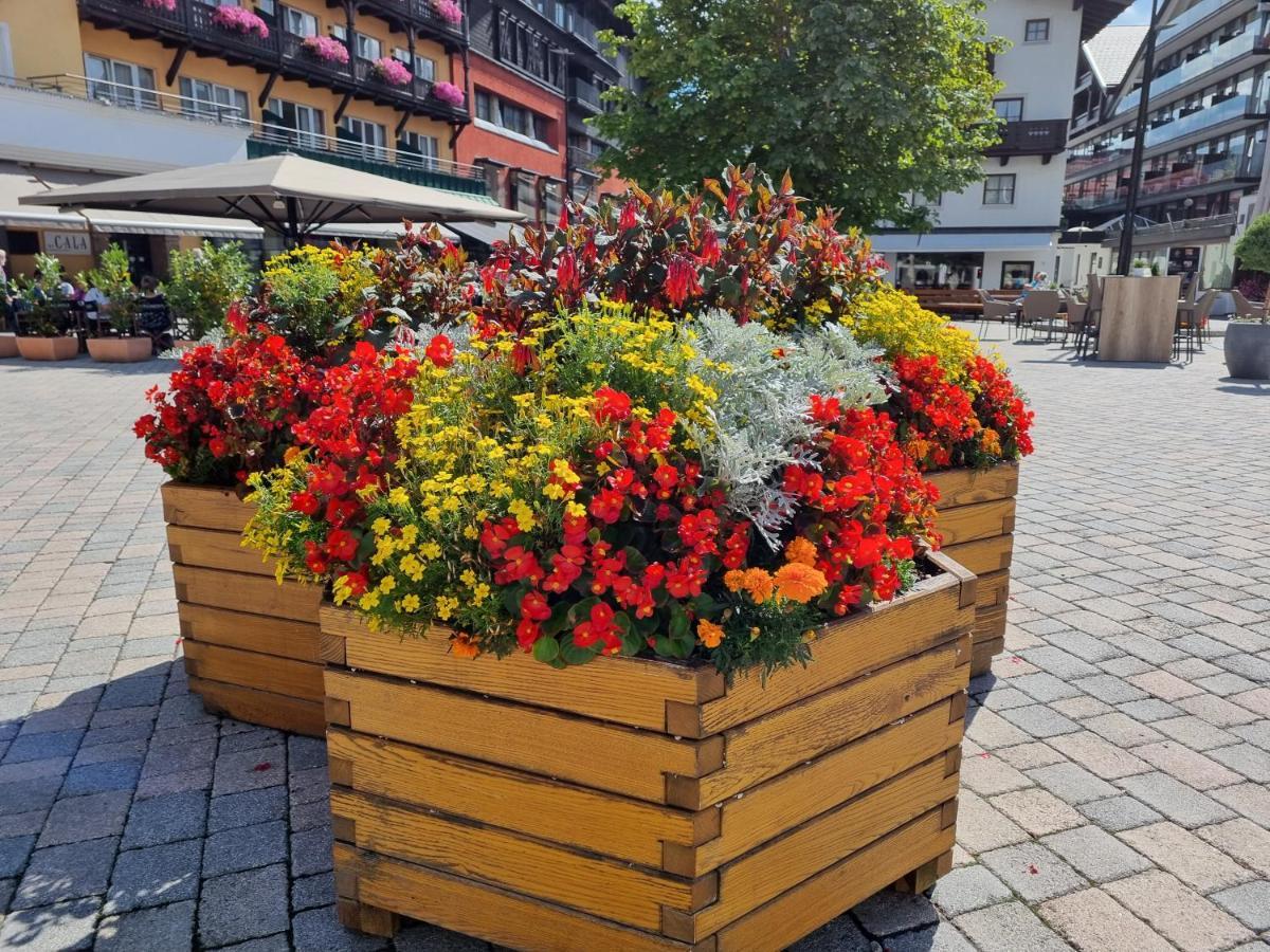 Wohlfuehl-Appartement Bergsee Family - Am Wildsee - Sup Und Schlitten For Free Seefeld in Tirol Exterior foto