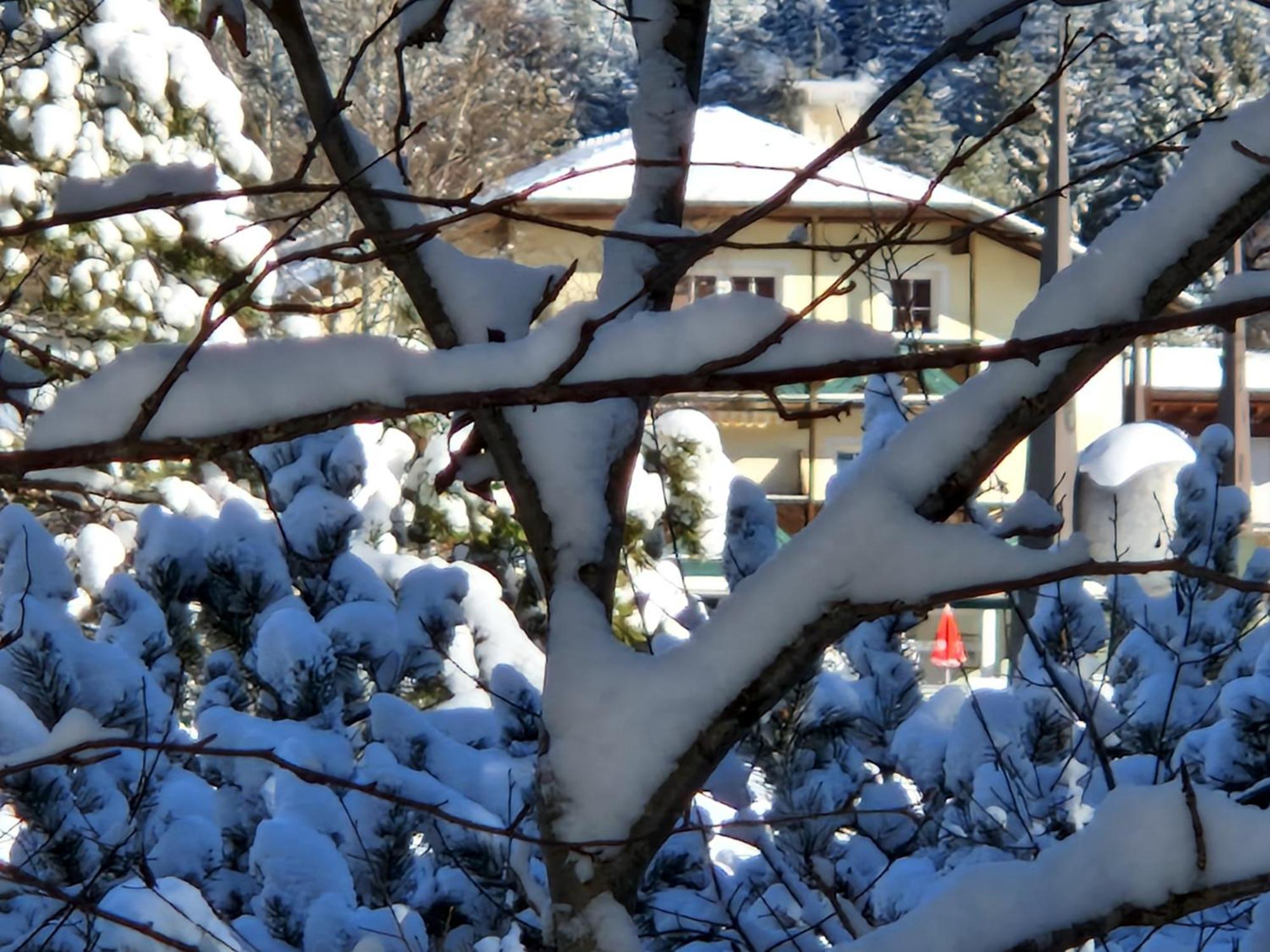 Wohlfuehl-Appartement Bergsee Family - Am Wildsee - Sup Und Schlitten For Free Seefeld in Tirol Exterior foto
