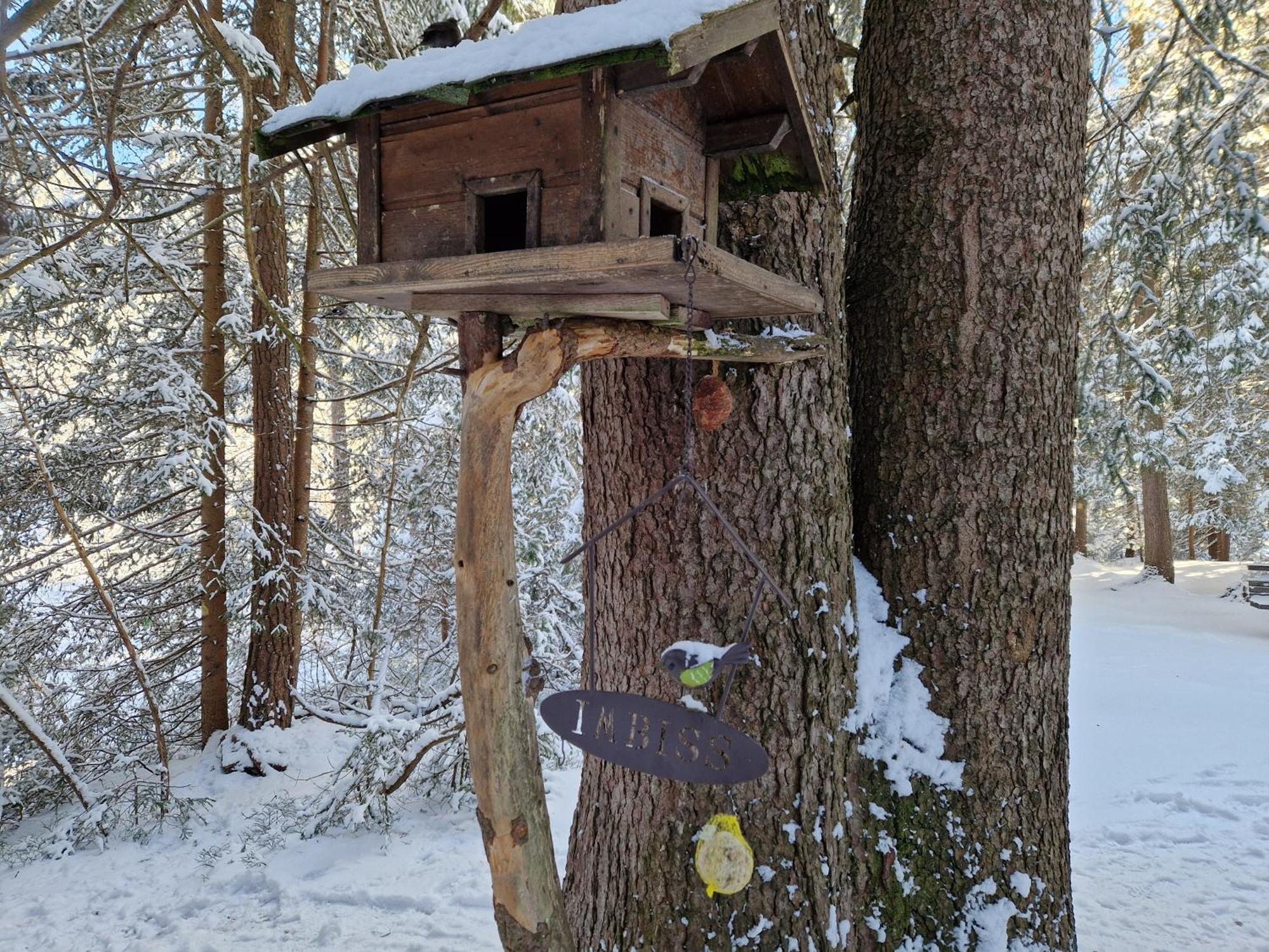 Wohlfuehl-Appartement Bergsee Family - Am Wildsee - Sup Und Schlitten For Free Seefeld in Tirol Exterior foto